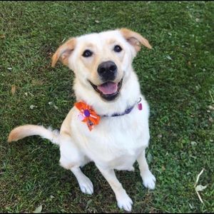 Meet your Posher, Elise